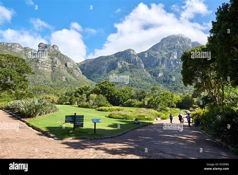 Kirstenbosch Botanical Gardens Cape Town Stock Photo Alamy