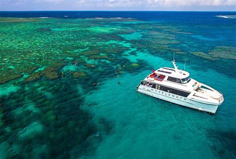 Great Barrier Reef A Guide To Port Douglas Reef Tours