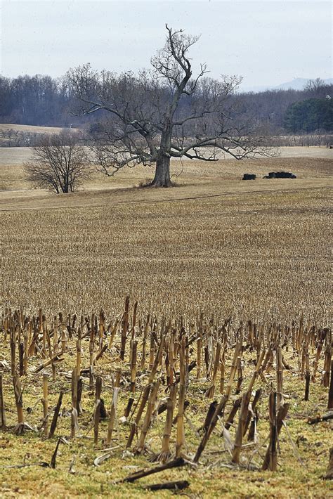 Dry Winter Puts Area On Alert For Severe Drought Business