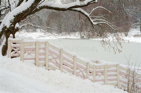 510594 Winter Ice Landscape Photos Free And Royalty Free Stock Photos