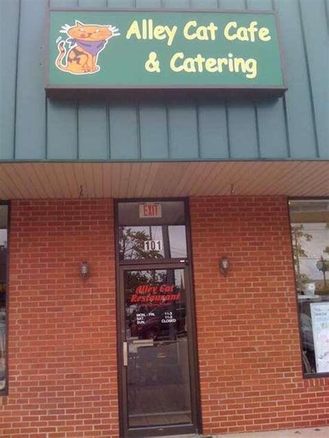 Alley Cat Cafe And Catering In Louisville Restaurant Menu And Reviews