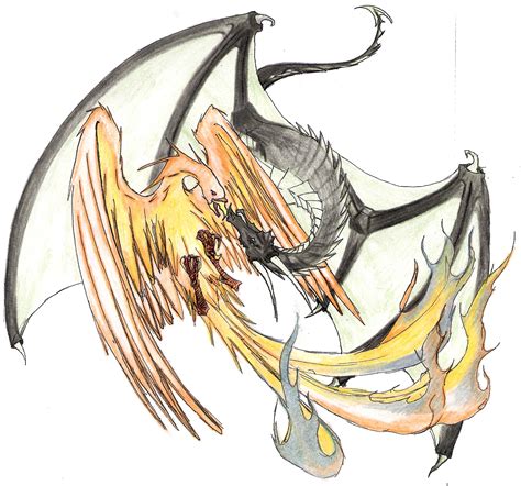 Dragon Vs Phoenix By Nefariousessence On Deviantart