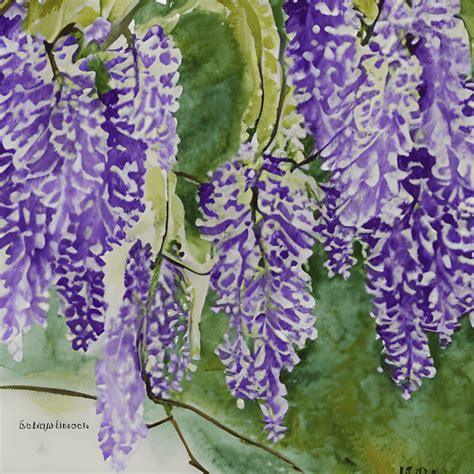 Wisteria Watercolor Graphic · Creative Fabrica