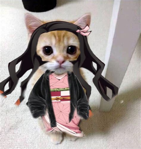Cute Nezuko El Gato Pfp For Free Made By Me Gatos Gatos Cat Dibujos