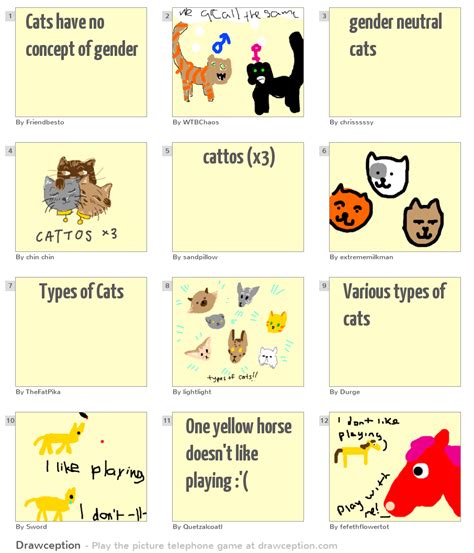 Cats Have No Concept Of Gender Drawception