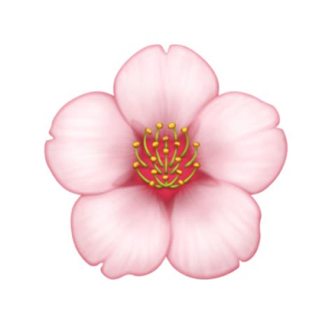 🌸 Emoji Flor De Cerejeira Emojis Para Copiar