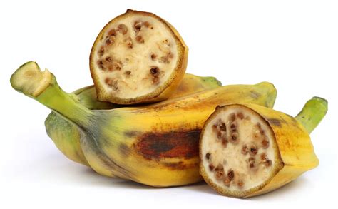 Prehistoric People Started To Spread Domesticated Bananas Across The World 6000 Years Ago