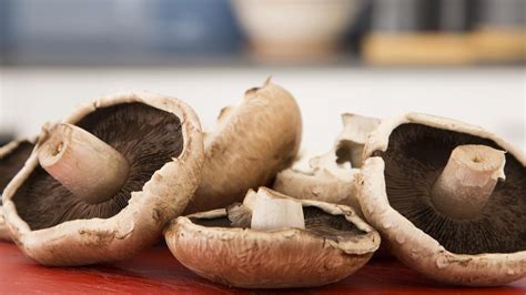 Eating Mushrooms Slashes Cancer Risk According To New Study