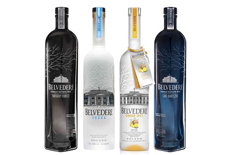 Just like those ancient monuments where you must go before you die. Great Vodka Bottles - Best Pictures and Decription ...