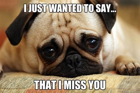 100 Of The Best I Miss You Memes To Send To Your Bae Inspirationfeed