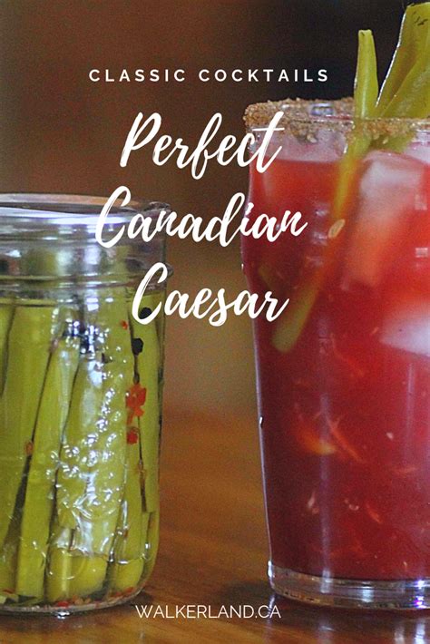 How To Make The Classic Canadian Caesar Cocktail • Walkerland Caesar Cocktail Classic