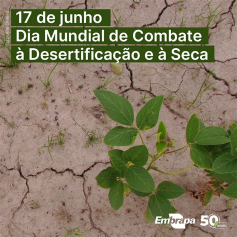 Embrapa On Twitter O Dia Mundial De Combate à Desertificação E à Seca Foi Criado Pela