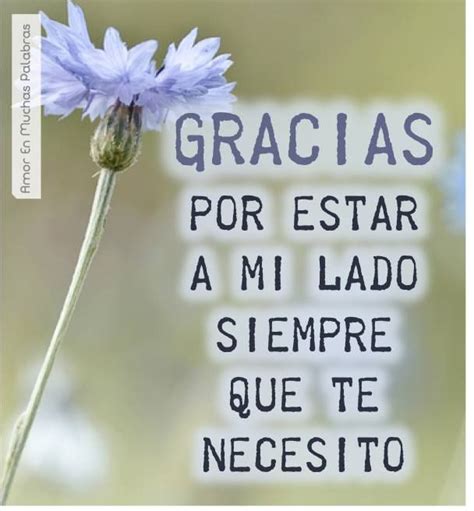 Gracias Great Quotes Letter Board Quotes