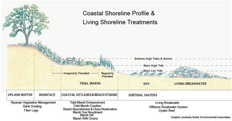 Living Shorelines Marine Discovery Center