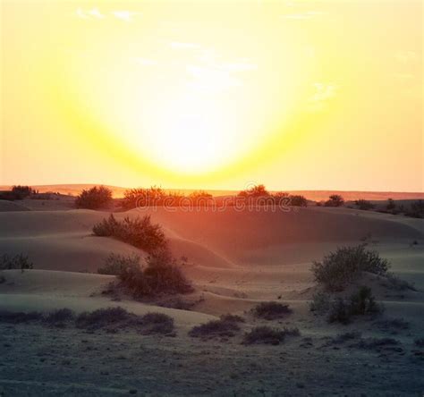 Sunset In The Desert Stock Image Image Of Gobi Community 194897031