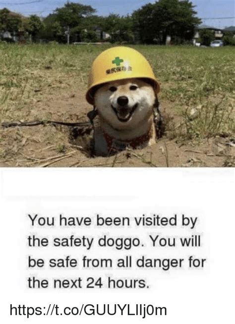 You Have Been Visited By The Safety Doggo You Will Be Safe From All