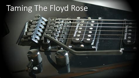 How To Set Up A Floyd Rose Bridge Chad Edward Official