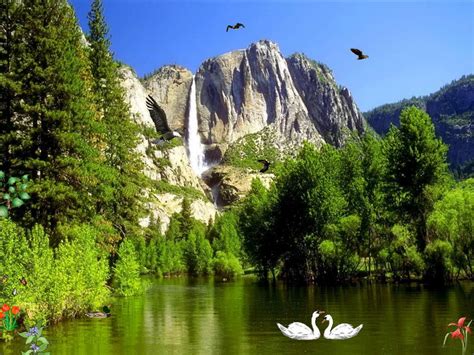 Download free screensavers for your windows desktop pc today! Eagles Kingdom - Free Nature Screensaver