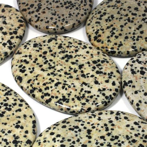 Dalmatian Jasper Palm Stone 70x50mm