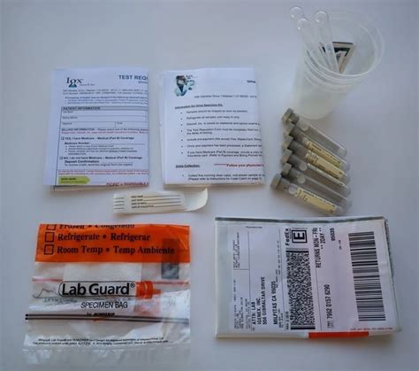 Urine Collection Kit For Lyme And Tickborne Disease Test Igenex