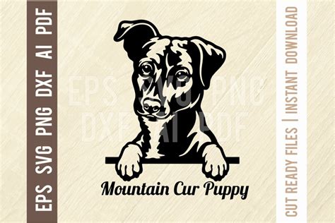 Mountain Cur Puppy Dog Svg Peeking Dog Svg Dog Breed Dog Etsy