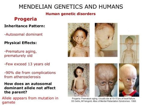 Mendelian Disorders Types Of Genetic Disorders In Humans