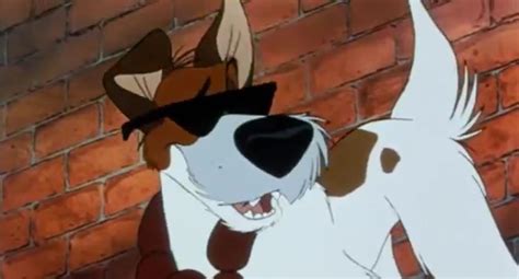 Why Should I Worry Oliver And Company S Dodger Photo 36973195 Fanpop