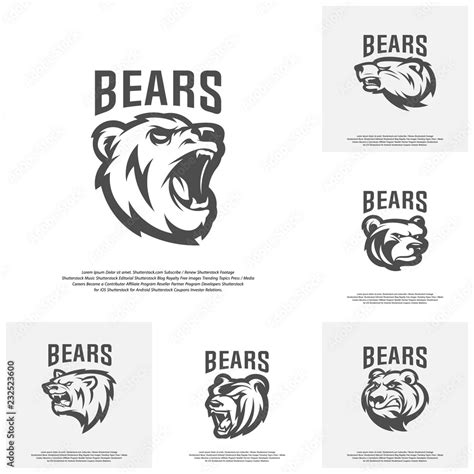 Collection Of Bear Logo Design Vector Modern Professional Grizzly Bear