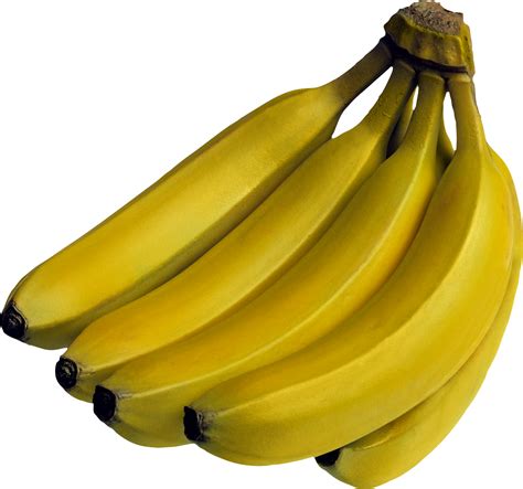 5 Bananas Png Transparent Image Download Size 1279x1197px