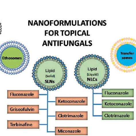 Mechanism Of Action Of Antifungal Agents Along With Their Target Sites