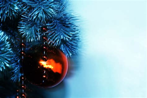 Christmas Background 3 Free Stock Photo Public Domain Pictures
