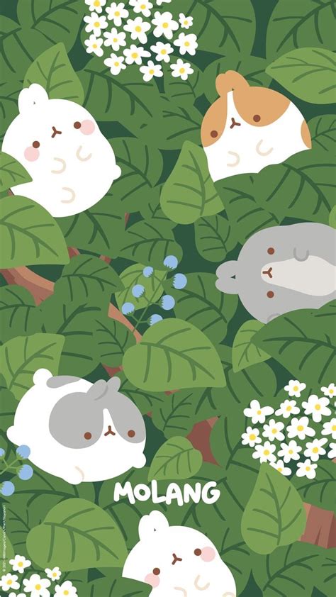 Cute Molang Spring Wallpapers Wallpaper Cave