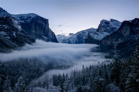Foggy Forest And Mountain Yosemite Hd Wallpaper