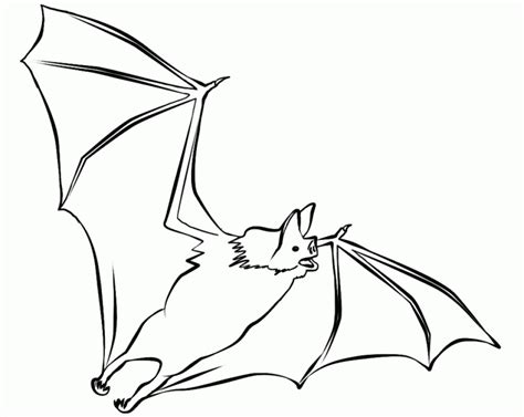 Get This Bat Coloring Pages Free 51327