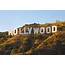 Royalty Free Hollywood Pictures Images And Stock Photos  IStock