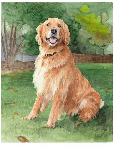 How To Paint A Golden Retriever Golden Retriever Watercolor By Mike