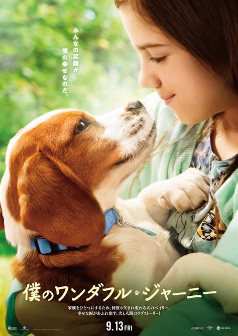A Dogs Journey Poster Amat