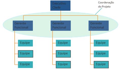 modelo de estrutura organizacional em projetos características e individualidades