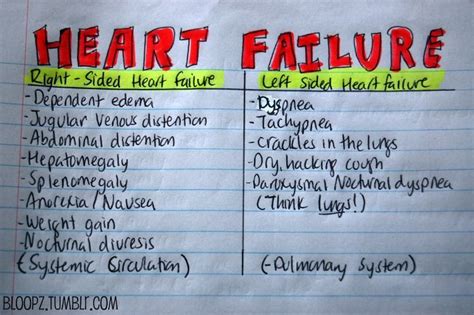Here Is An Upload Of My Personal Notes Of Signs And Symptoms Of Heart