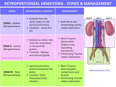 Retroperitoneal Hematoma Zones And Management