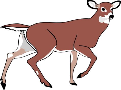 Cute Baby Deer Clipart Free Images 7 Wikiclipart