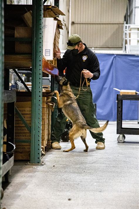 Dvids Images Us Customs And Border Protection Patrol K 9 Agents