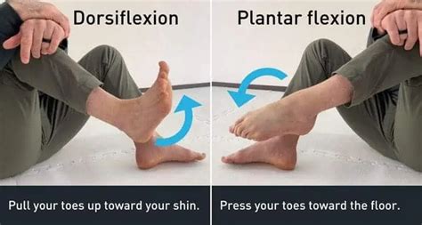 4 Exercises To Fix Stiff Ankles