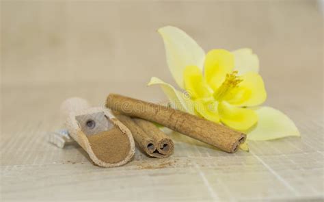 Cinnamon And Yellow Fragrant Flower Stock Photo Image Of Base Dark