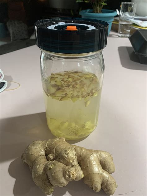 Started My First Ginger Bug Where Can I Find Good Recipes For Once It