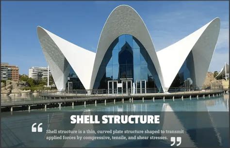 Shell Structure Types Examples And Applications