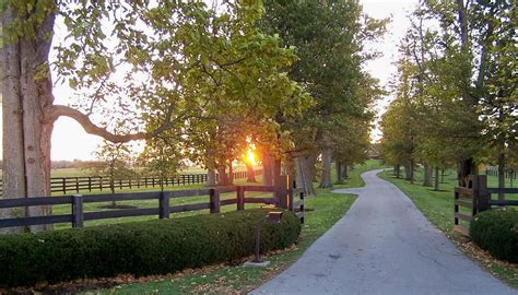 Having a custom driveway gate designed and built is usually a once in a lifetime event. driveway entrance with fence | Farm entrance, Backyard ...