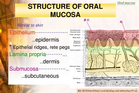 Oral Mucosal Diseases 2010