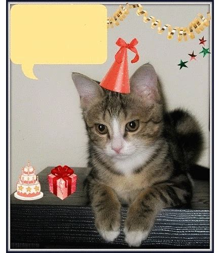 Cute Birthday Wish From A Kitty Free Pets Ecards Greeting Cards 123