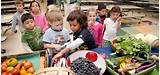 Photos of Are Healthy School Lunch Programs A Waste